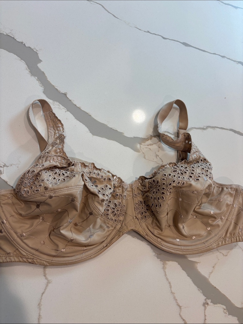 Nude Eyelet Lace 40D Underwire Bra with Support